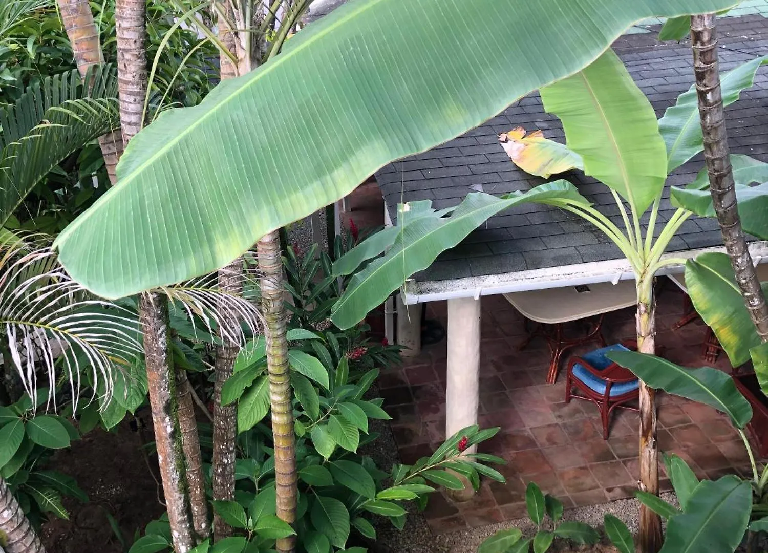 Hotel Casa Robinson Las Terrenas