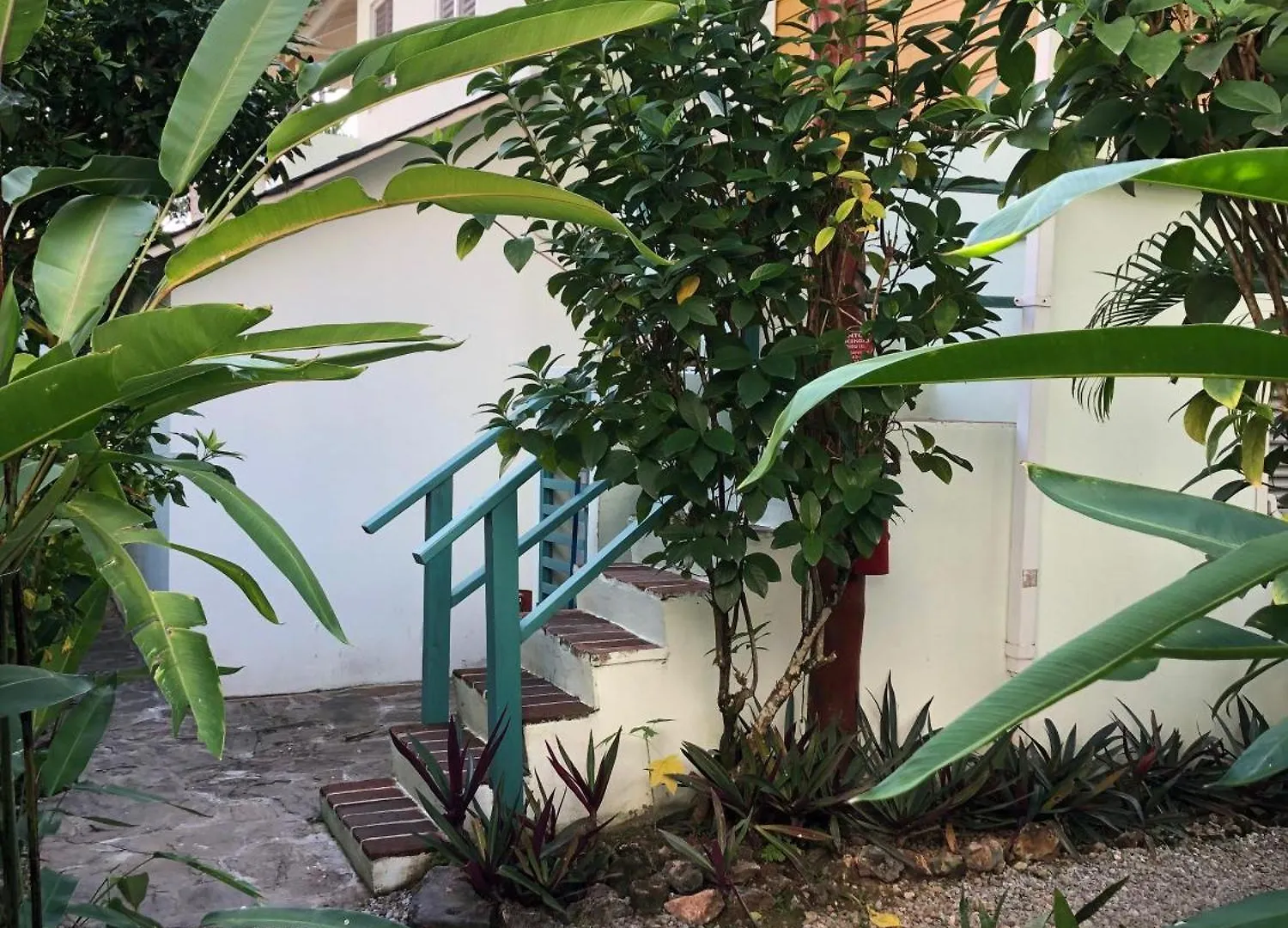 Hotel Casa Robinson Las Terrenas República Dominicana